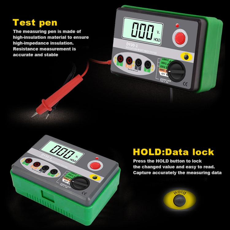 DUOYI DY30-1 Car Digital Insulation Resistance Tester Meter - Electronic Test by DUOYI | Online Shopping South Africa | PMC Jewellery | Buy Now Pay Later Mobicred