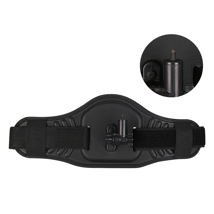 Waist Belt Mount Strap with Adapter & Screw for GoPro Hero12 Black / Hero11 /10 /9 /8 /7 /6 /5, Insta360 Ace / Ace Pro, DJI Osmo Action 4 and Other Action Cameras(Black) - Chest Belt by PMC Jewellery | Online Shopping South Africa | PMC Jewellery | Buy Now Pay Later Mobicred