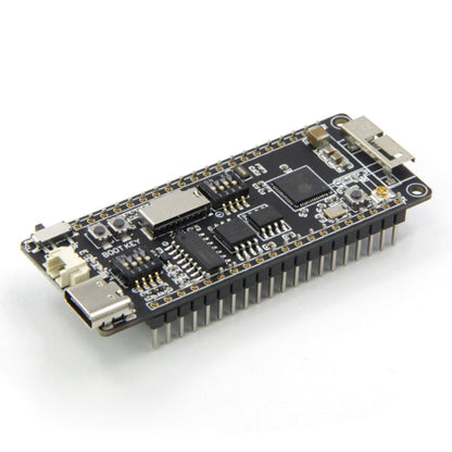 TTGO ESP32-S WiFi Wireless Module Type-C Connector TF Card Slot Development Board - Module by TTGO | Online Shopping South Africa | PMC Jewellery | Buy Now Pay Later Mobicred