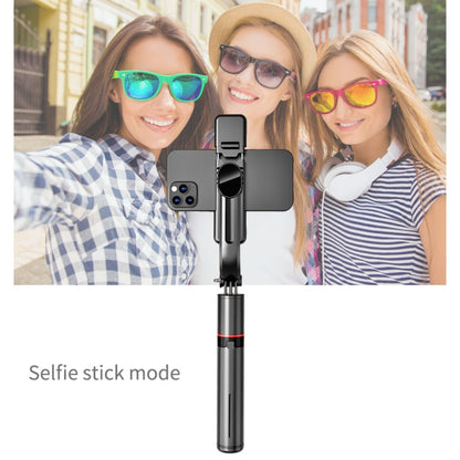 L12D Bluetooth Remote Control Detachable Fill Light Tripod Selfie Stick Phone Holder - Selfie Sticks by PMC Jewellery | Online Shopping South Africa | PMC Jewellery | Buy Now Pay Later Mobicred