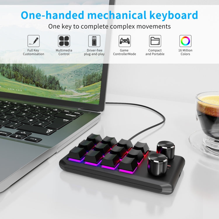 USB Wired 12KV2 MOLD Mini Mechanical 12 Keys 2 Knob Custom Programming Keyboard(Black) - Mini Keyboard by PMC Jewellery | Online Shopping South Africa | PMC Jewellery