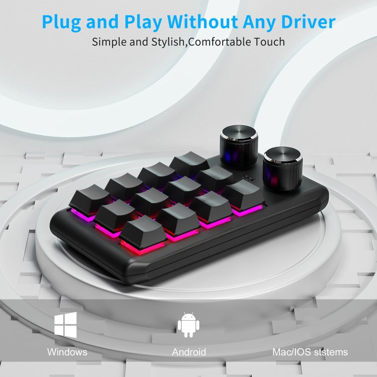 Bluetooth Wireless 12KV2 MOLD Mini Mechanical 12 Keys 2 Knob Custom Programming Keyboard(Black) - Mini Keyboard by PMC Jewellery | Online Shopping South Africa | PMC Jewellery