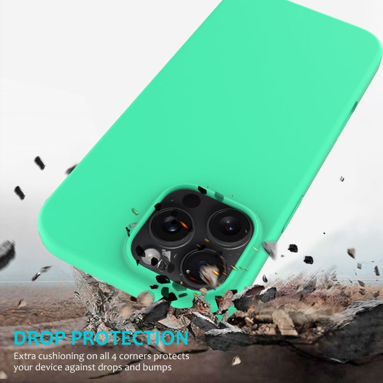For iPhone 16 Pro Max Solid Color Silicone Phone Case(Green) - More iPhone Cases by PMC TechLife | Online Shopping South Africa | PMC TechLife | Buy Now Pay Later Mobicred