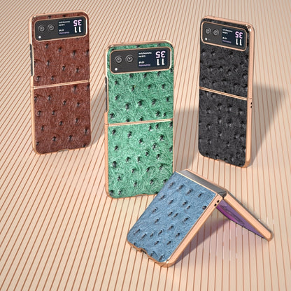 For Motorola Razr 40 Nano Plating Genuine Leather Ostrich Texture Phone Case(Green) - Motorola Cases by PMC Jewellery | Online Shopping South Africa | PMC Jewellery | Buy Now Pay Later Mobicred