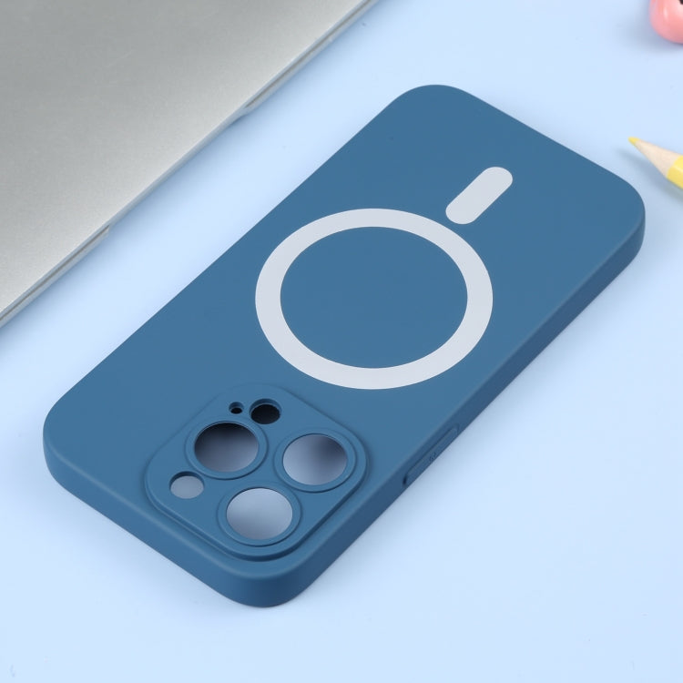 For iPhone 15 Pro Liquid Silicone Magsafe Phone Case(Blue) - iPhone 15 Pro Cases by PMC TechLife | Online Shopping South Africa | PMC TechLife