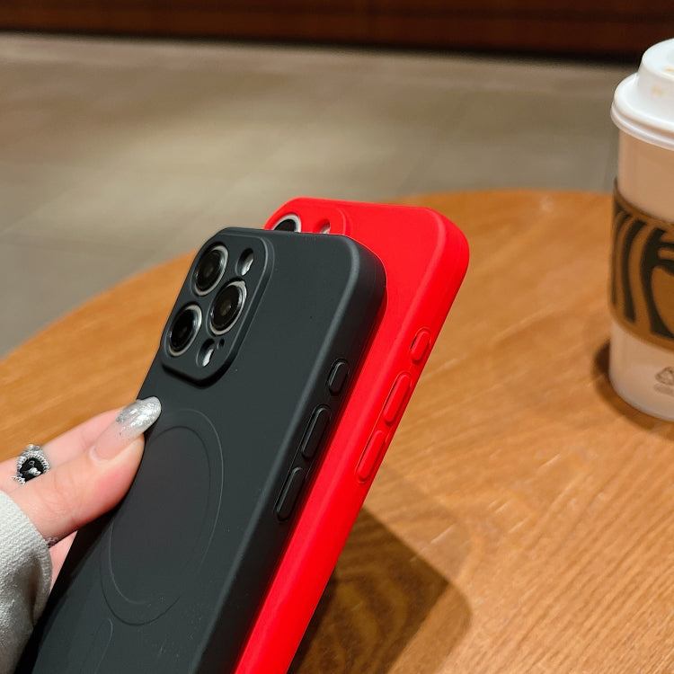 For iPhone 16e Solid Color Liquid Silicone MagSafe Magnetic Phone Case(Red) - iPhone 16e Cases by PMC TechLife | Online Shopping South Africa | PMC TechLife | Buy Now Pay Later Mobicred
