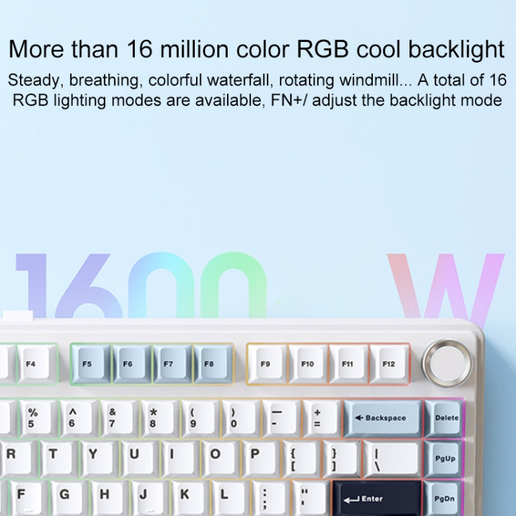 AULA F75 80 Keys Wired/2.4G/Bluetooth Three Model Customized RGB Mechanical Keyboard(White Blue Purple) - free shipping - PMC TechLife - Order now!