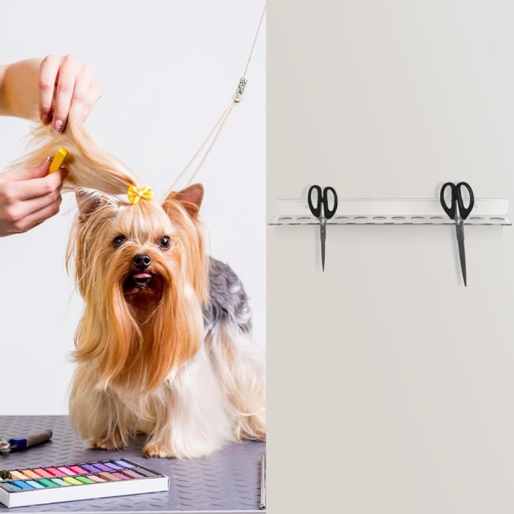 EDA008155101A_6.jpg@12482a3224fe5ce30d327aef1e0d997b