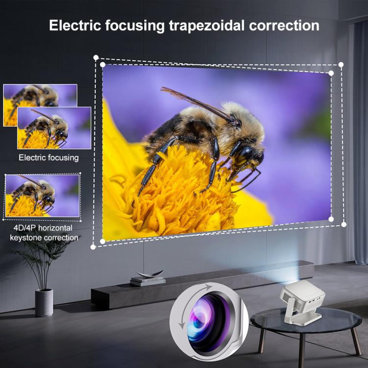 EDA0084341_B5.jpg@dd73fc6fba9d2495cb6b7cc18cc1d21e