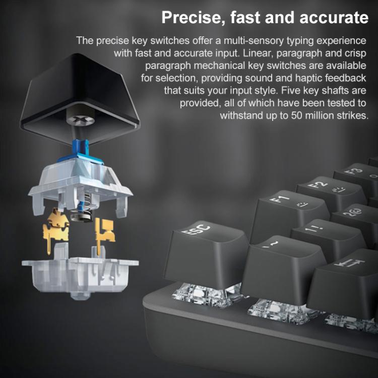 EDA0084563_B12.jpg@35e09cfc72ae8311987100bf0c5b71d5