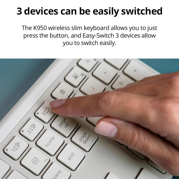 EDA0084577_B2.jpg@805384e207b85bbbbd36f57d905847c8