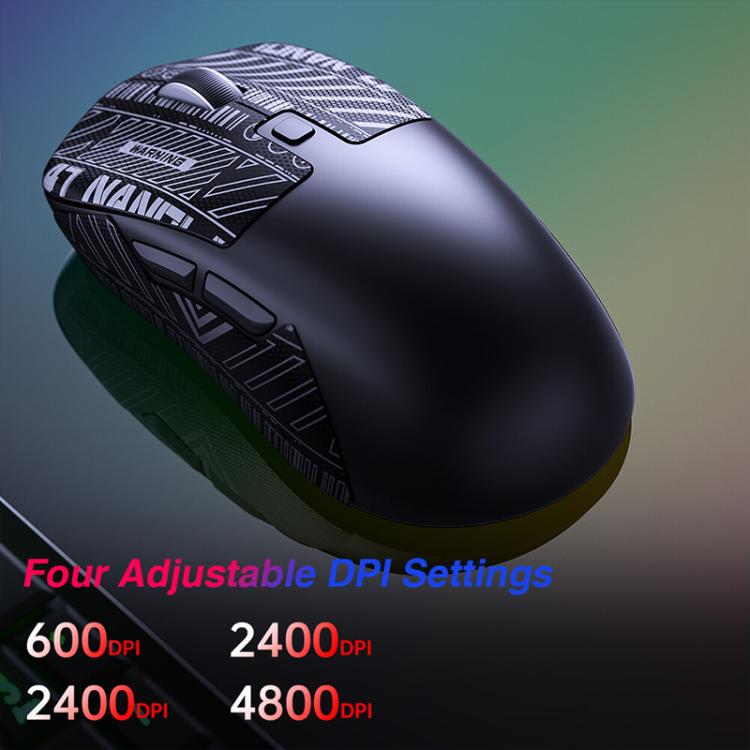 EDA0089672_B4.jpg@65b8368a416a15782abd4d443b9b010e