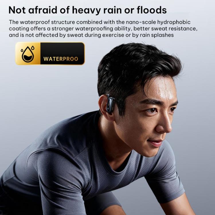 EDA0090171_B8.jpg@a11b6165eae2bd013e29f0a8e12f2df2