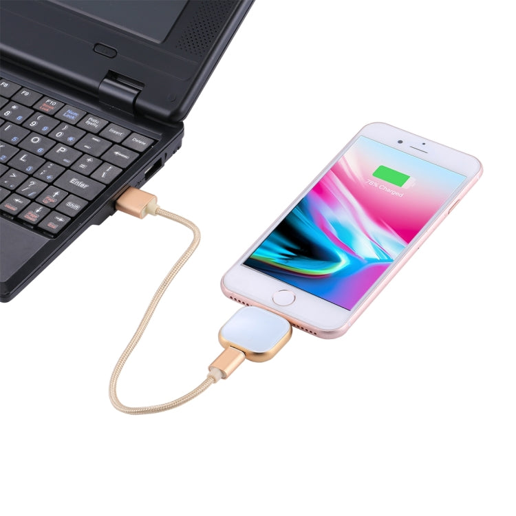 RQW-18S 8 Pin 32GB Multi-functional Flash Disk Drive with USB / Micro USB to Micro USB Cable(Gold) - U Disk & Card Reader by PMC Jewellery | Online Shopping South Africa | PMC Jewellery | Buy Now Pay Later Mobicred