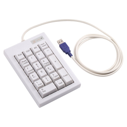 DX-21A 21-keys USB Wired Mechanical Black Shaft Mini Numeric Keyboard(White) - Mini Keyboard by PMC Jewellery | Online Shopping South Africa | PMC Jewellery | Buy Now Pay Later Mobicred