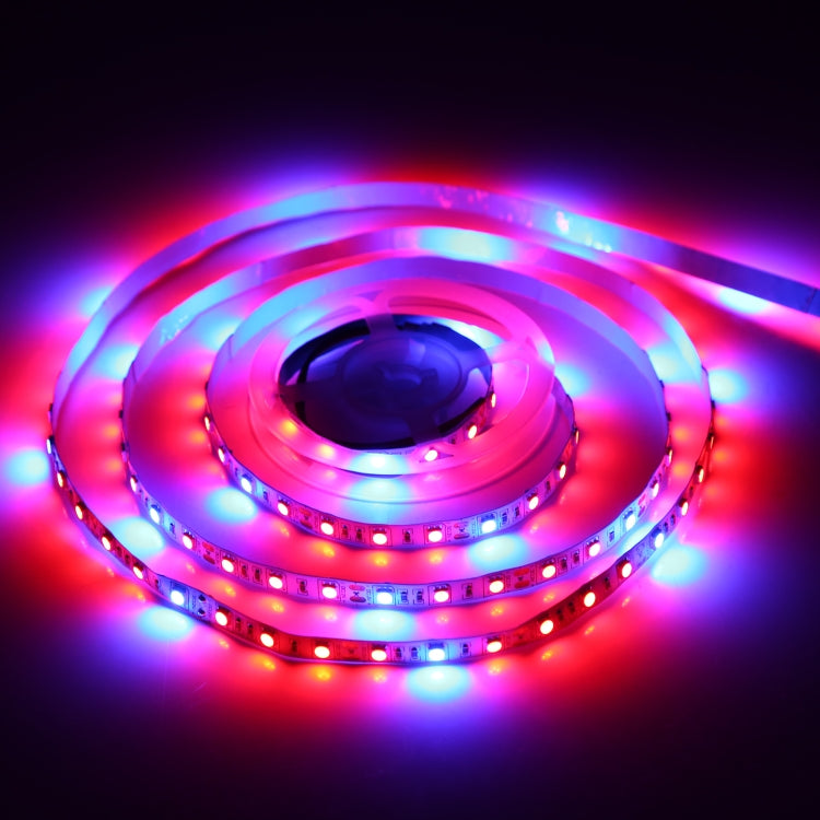 4:1 2m Bare Board 5050 SMD RGB LED Rope Light, 12V 2A 100-240V (UK Plug) - Bare Board Light by PMC TechLife | Online Shopping South Africa | PMC TechLife | Buy Now Pay Later Mobicred