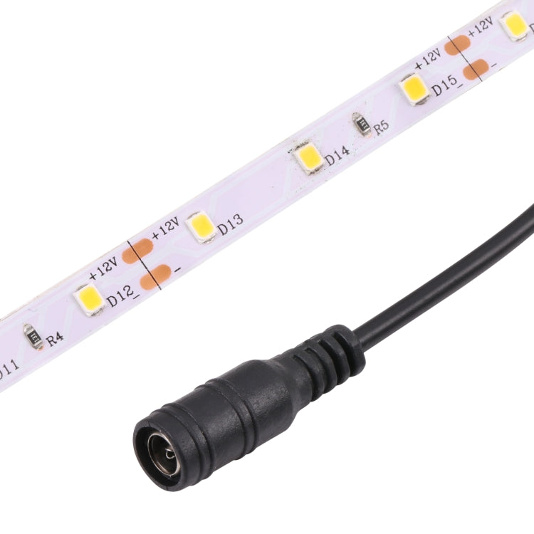 Bare Board 2835 SMD Dimmable White Light / Warm Light LED Rope Light, 60 LED/m, Length: 5m, 12V 2A 100-240V(EU Plug) - Bare Board Light by PMC TechLife | Online Shopping South Africa | PMC TechLife | Buy Now Pay Later Mobicred