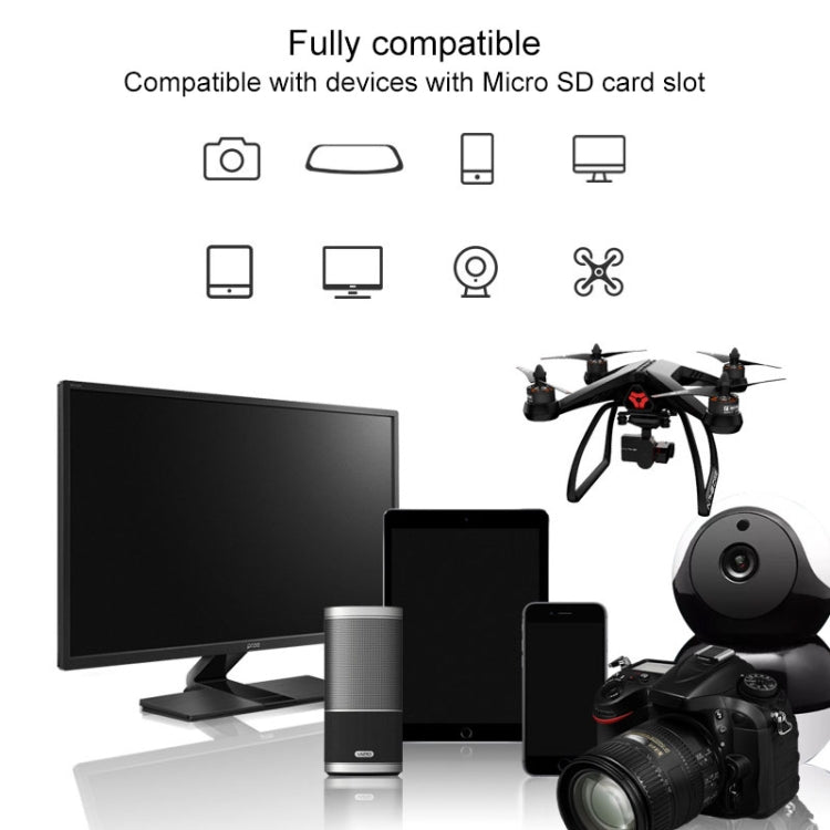 MC5485_7.jpg@dd72970607bfe953a67a99bbbfaa4de6