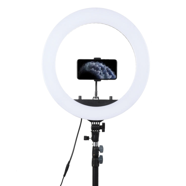 18 inch 55W Two-speed Dimmable Anchor Photography Self-timer LED Ring Fill-in Light with Tripod - Ring Light by PMC TechLife | Online Shopping South Africa | PMC TechLife | Buy Now Pay Later Mobicred