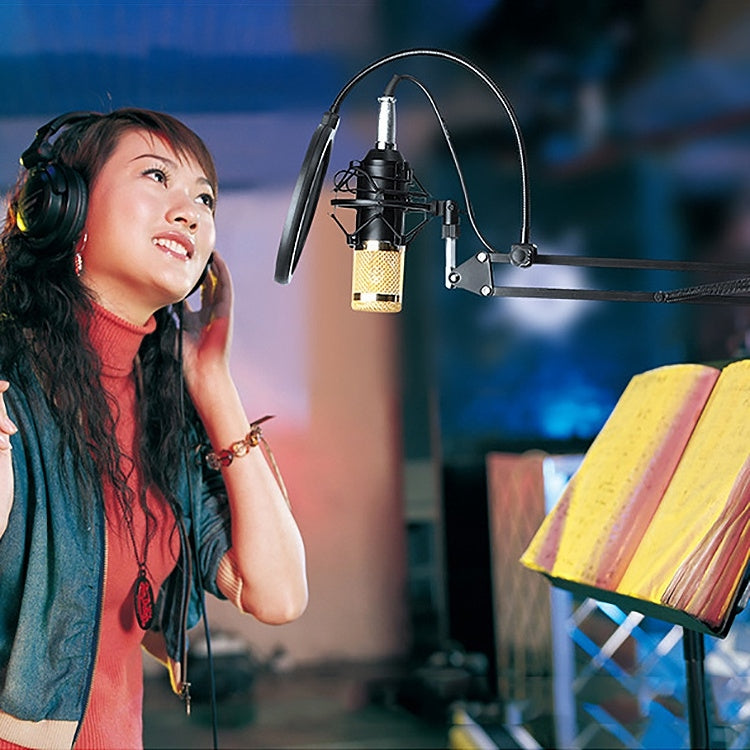 BM-800 Network K-Song Dedicated High-end Metal Shock Mount Microphone Set(Pink) - Microphone by PMC TechLife | Online Shopping South Africa | PMC TechLife | Buy Now Pay Later Mobicred