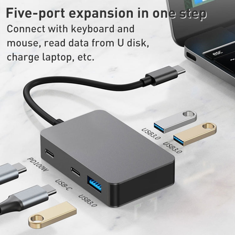 BYL-2316 5 in 1 USB-C / Type-C to USB3.0 & Type-C Multifunctional Docking Station HUB Adapter (Dark Grey) - free shipping - PMC Jewellery - Order now!
