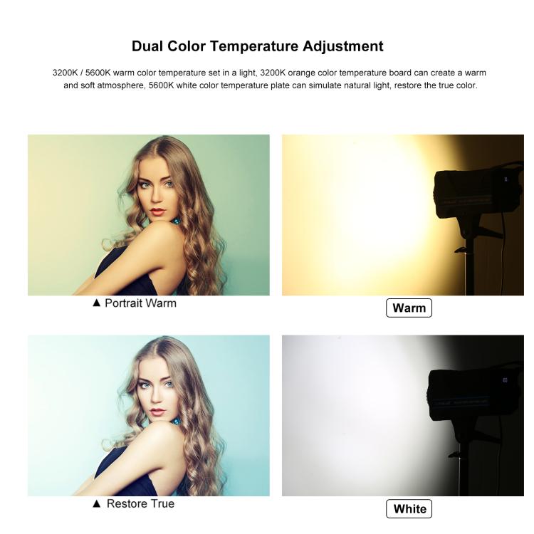 PULUZ 120W Photo Studio Strobe Flash Light Kit with Softbox Reflector & Tripod(EU Plug) - free shipping - PMC TechLife - Order now!