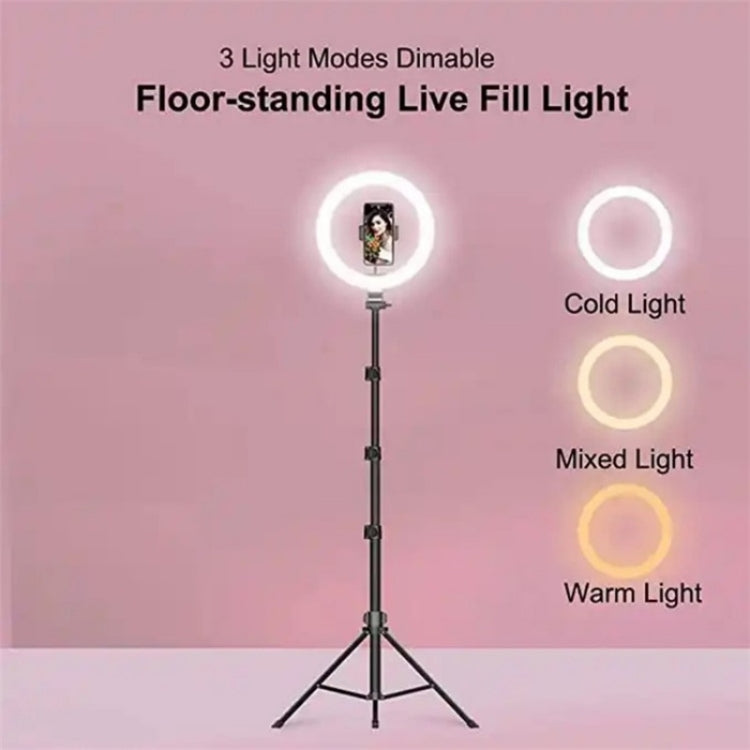 JMARY FM-536A 10 inch Ring Live Fill Light Streaming Stand Beauty Light Set - free shipping - PMC TechLife - Order now!
