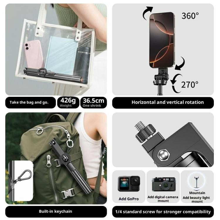 SYA0031558_4.jpg@efb296785b769346922424b3a7c0918a