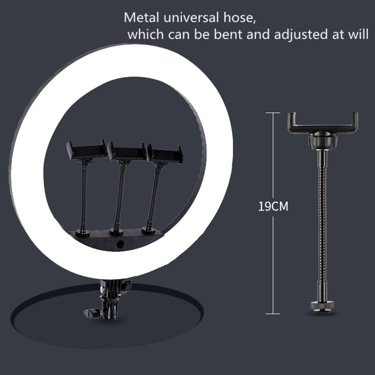 HQ-21N 21 inch 52.5cm LED Ring Vlogging Photography Video Lights Kits with Remote Control & Phone Clamp & 2.1m Tripod Mount, EU Plug - Ring Light by PMC Jewellery | Online Shopping South Africa | PMC Jewellery | Buy Now Pay Later Mobicred