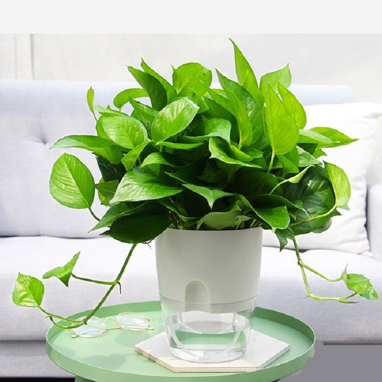 Transparent Plastic Double-Layer Water Storage Automatic Water-Absorbing Flowerpot, Size: A707 Caliber 15.3cm(White Transparent Basin) - Flower Pots & Planters by PMc TechLife | Online Shopping South Africa | PMc TechLife | Buy Now Pay Later Mobicred