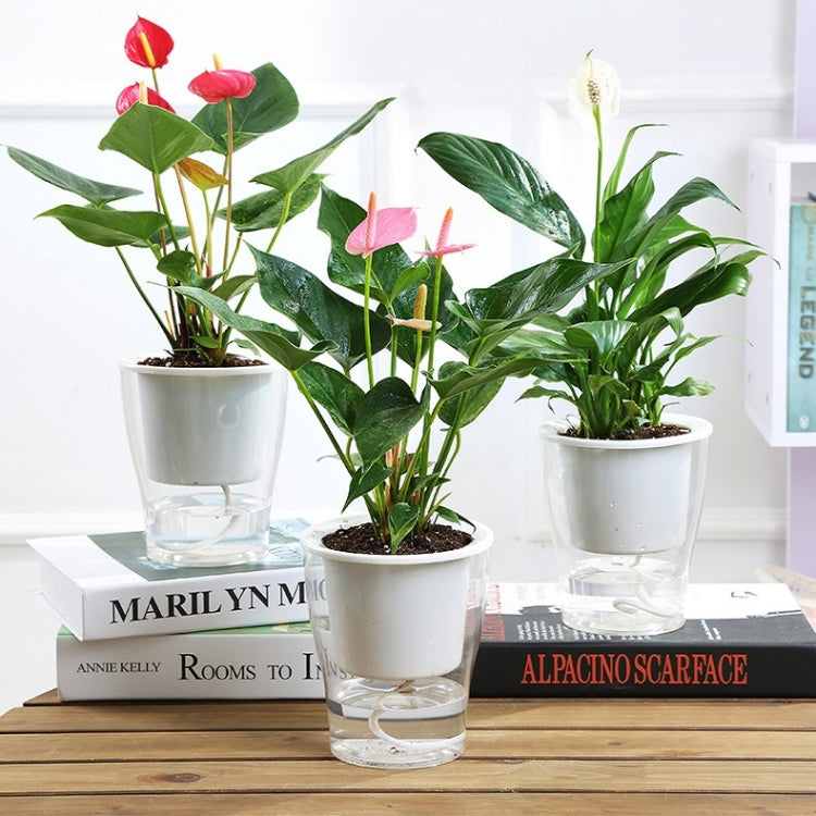 Fully Transparent Hydroponic Flower Pots Water Level Visible Non-Broken Glue Self-Absorbent Plastic Flower Pots, Size: W05 Caliber 13cm(Full Transparency) - free shipping - PMc TechLife - Order now!