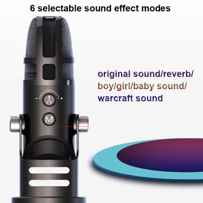 M9 RGB Condenser Microphone Built-in Sound Card,Style: Computer+Type-C+32G - Microphone by PMC Jewellery | Online Shopping South Africa | PMC Jewellery | Buy Now Pay Later Mobicred