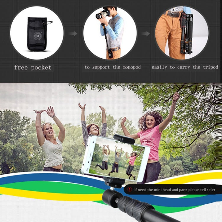 QingZhuangShiDai  Q999B Portable and Stable Photography SLR Digital Camera Tripod(Black) - Tripods by QingZhuangShiDai | Online Shopping South Africa | PMC Jewellery | Buy Now Pay Later Mobicred