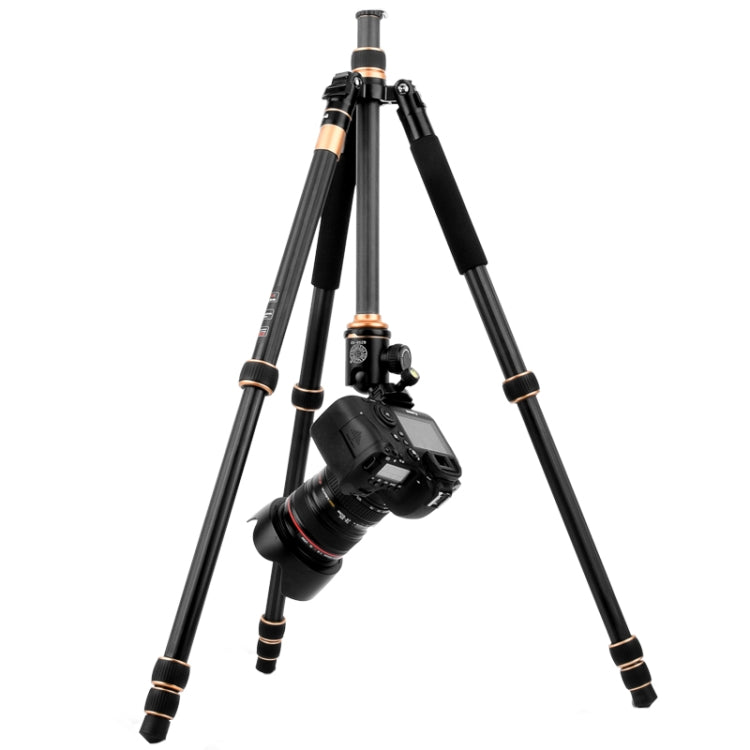 QingZhuangShiDai Q222C SLR Camera Carbon Fiber Portable Travel Tripod(Black) - Tripods by QingZhuangShiDai | Online Shopping South Africa | PMC Jewellery | Buy Now Pay Later Mobicred