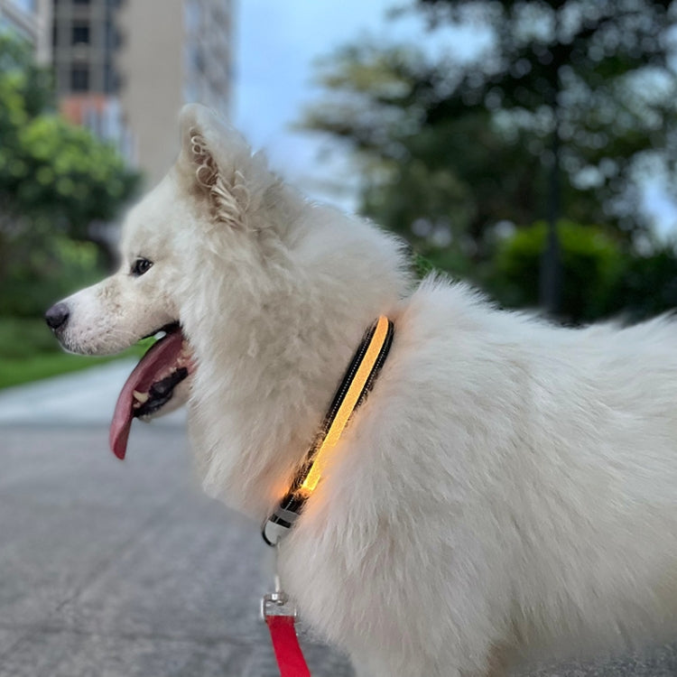 LED Rechargeable Wear-resistant and Waterproof Pet Lighting Collar, Size: L(Black) - Collars by PMC TechLife | Online Shopping South Africa | PMC TechLife | Buy Now Pay Later Mobicred