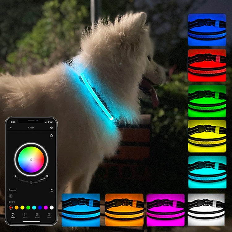 LED Rechargeable Wear-resistant and Waterproof Pet Lighting Collar, Size: L(Black) - Collars by PMC TechLife | Online Shopping South Africa | PMC TechLife | Buy Now Pay Later Mobicred