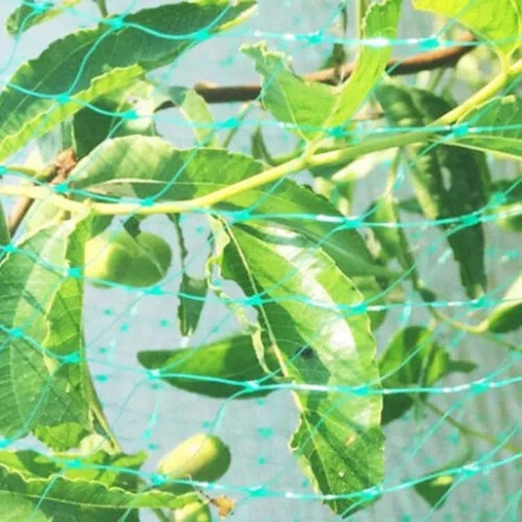 2Mx10M  Anti Bird Protection Net Mesh Garden Plant Netting Protect Plants and Fruit - Garden Netting by PMC TechLife | Online Shopping South Africa | PMC TechLife | Buy Now Pay Later Mobicred