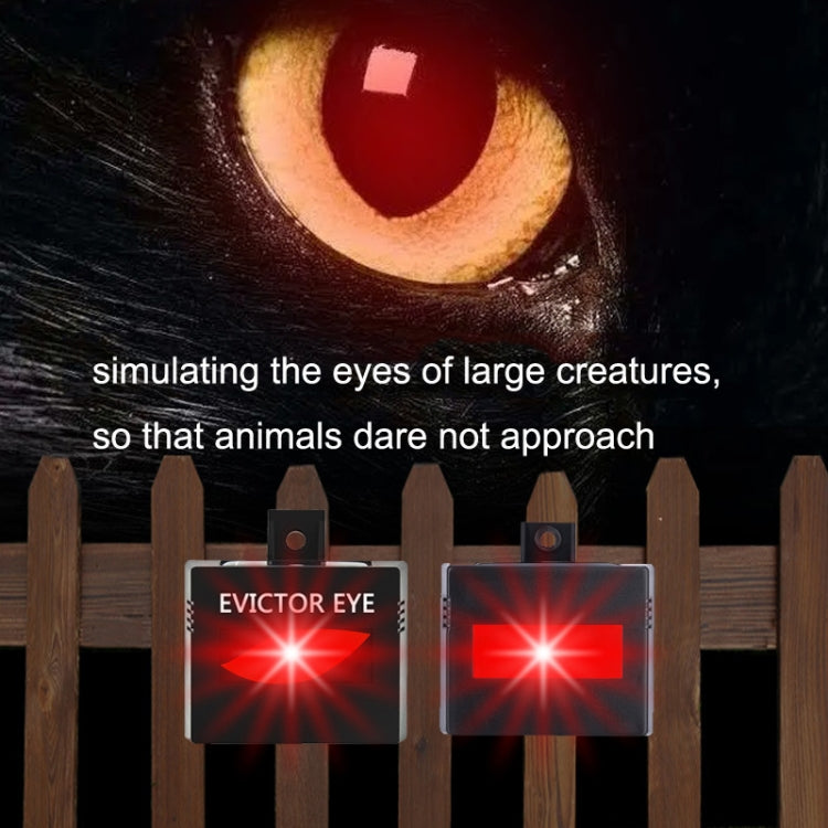 SK191 2pcs Solar Farm Wild Eagle Eye Animal Repeller - Outdoor Insect Repellent by PMC TechLife | Online Shopping South Africa | PMC TechLife | Buy Now Pay Later Mobicred