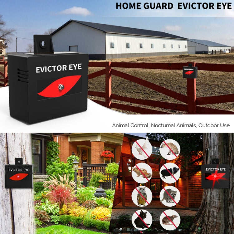 SK191 2pcs Solar Farm Wild Eagle Eye Animal Repeller - Outdoor Insect Repellent by PMC TechLife | Online Shopping South Africa | PMC TechLife | Buy Now Pay Later Mobicred