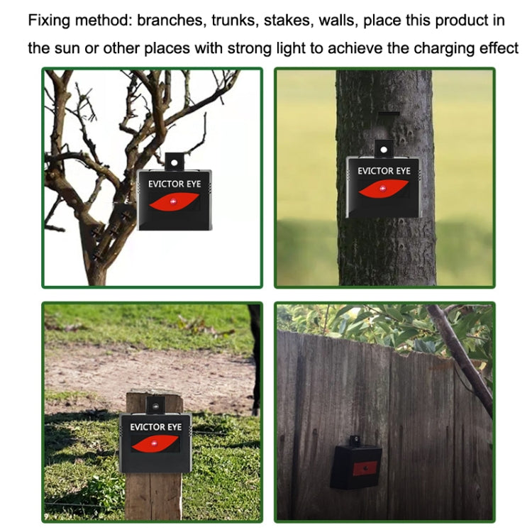 SK191 2pcs Solar Farm Wild Eagle Eye Animal Repeller - Outdoor Insect Repellent by PMC TechLife | Online Shopping South Africa | PMC TechLife | Buy Now Pay Later Mobicred