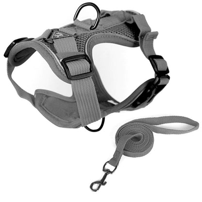 Pet Vest Harness + Traction Rope Set Reflective Breathable Dog Cat Harness, Size: M(Gray) - Leashes by PMC Jewellery | Online Shopping South Africa | PMC Jewellery