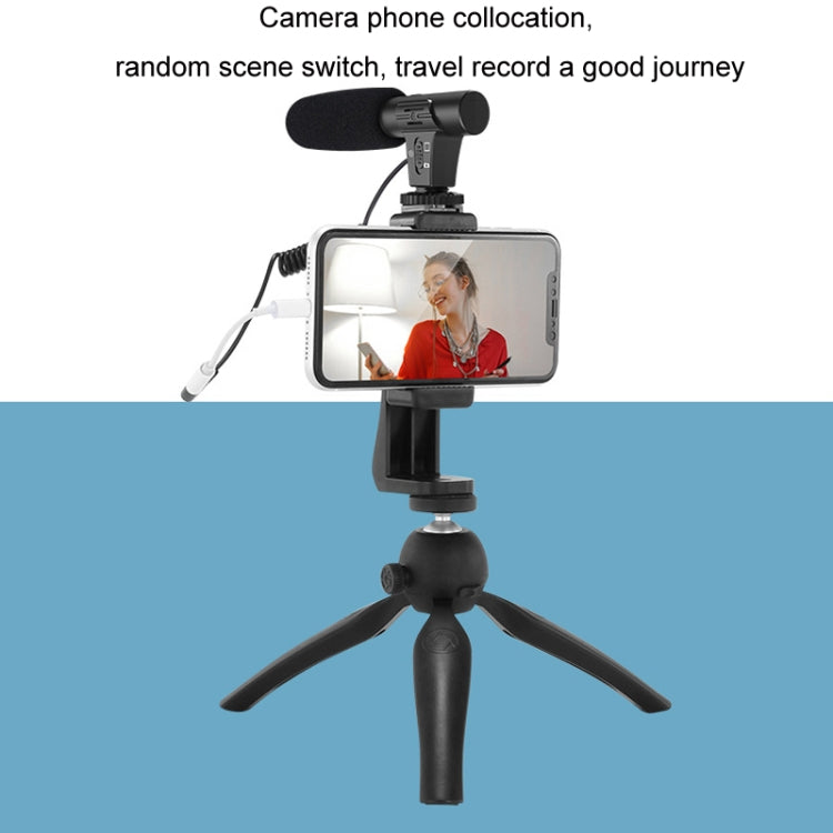 Video Recording Live Camera Mobile Conference Recording Microphone(Black) - Microphone by PMC TechLife | Online Shopping South Africa | PMC TechLife | Buy Now Pay Later Mobicred