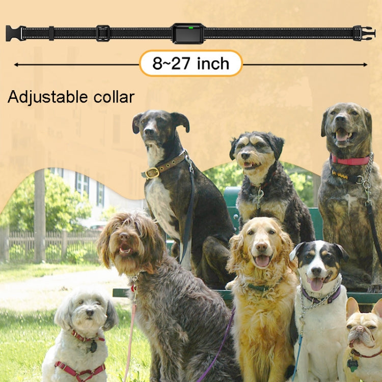 Color Screen Remote Control Pet Electric Shock Circular Dog Trainer(Black) - Training Aids by PMC Jewellery | Online Shopping South Africa | PMC Jewellery | Buy Now Pay Later Mobicred
