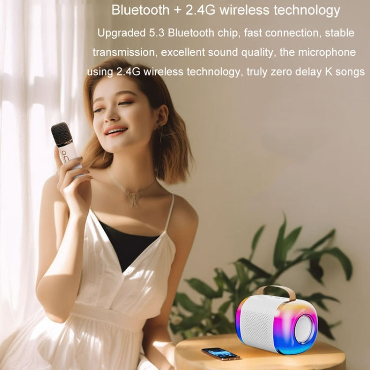 Y5 2 Microphone Portable Bluetooth Speaker Home And Outdoor Wireless Karaoke Audio(Black) - Microphone by PMC TechLife | Online Shopping South Africa | PMC TechLife | Buy Now Pay Later Mobicred