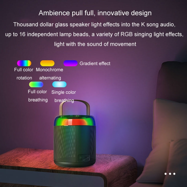 Home Portable Bluetooth Speaker Small Outdoor Karaoke Audio, Color: Y2 Black(Double wheat) - Microphone by PMC TechLife | Online Shopping South Africa | PMC TechLife | Buy Now Pay Later Mobicred