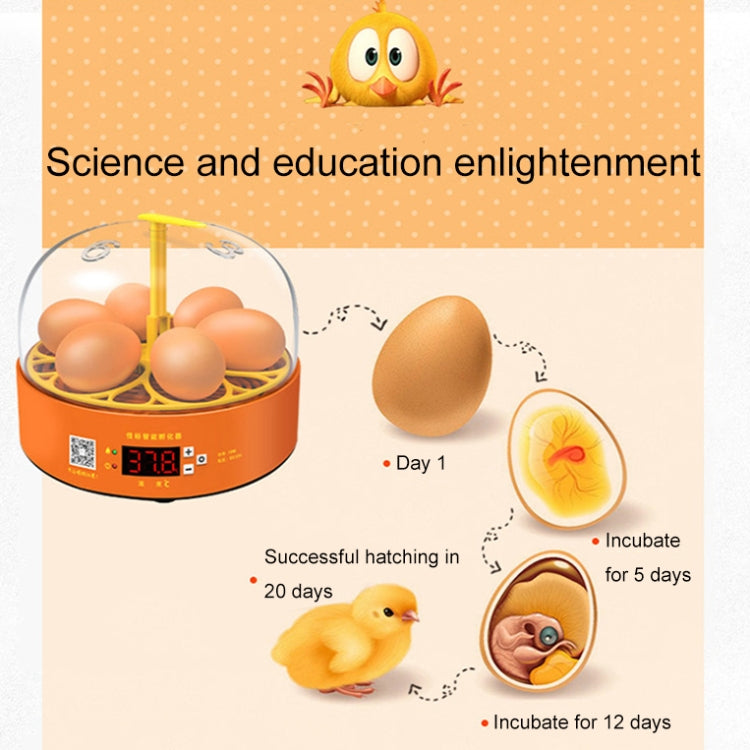 6-Eggs Small Household Experimental Children Smart Chicken Incubators, Spec: Manual EU Plug - Incubators by PMC Jewellery | Online Shopping South Africa | PMC Jewellery