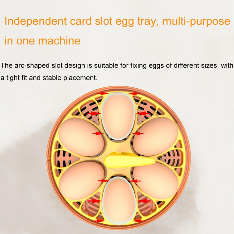 6-Eggs Small Household Experimental Children Smart Chicken Incubators, Spec: Dual-electric Automatic US Plug - Incubators by PMC TechLife | Online Shopping South Africa | PMC TechLife