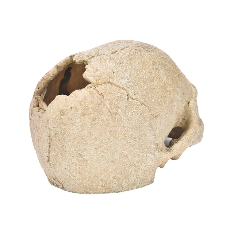 Fish Tank Aquarium Decoration Spider Lizard Snake Python Skull Breeding House Hiding Ornament(Bald Skull) - Reptile Supplies by PMC TechLife | Online Shopping South Africa | PMC TechLife