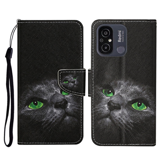 For Xiaomi Redmi 12C Colored Drawing Pattern Flip Leather Phone Case(Black Cat) - Xiaomi Cases by PMC Jewellery | Online Shopping South Africa | PMC Jewellery