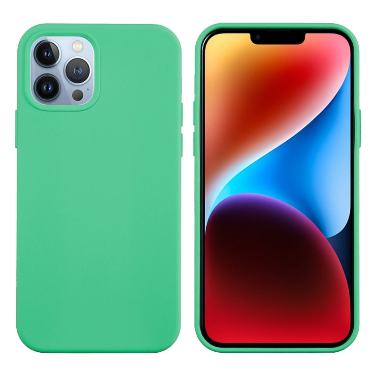 For iPhone 15 Pro Solid Color Silicone Phone Case(Green) - iPhone 15 Pro Cases by PMC TechLife | Online Shopping South Africa | PMC TechLife